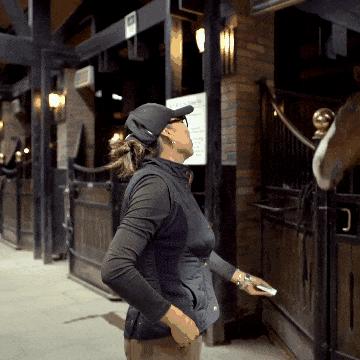 《荒野大镖客2》驯服技巧：轻松掌握马匹驯服之道