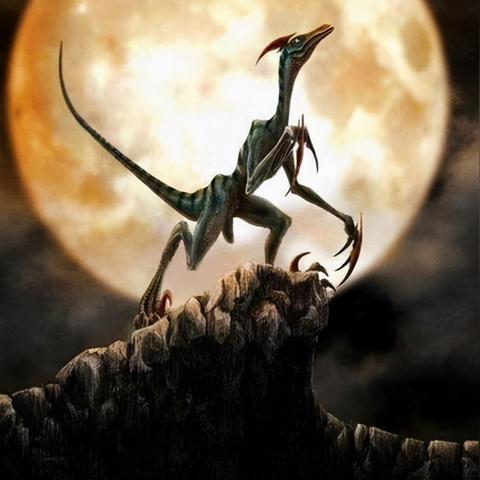 原力觉醒合金装备5：星际特工重生记