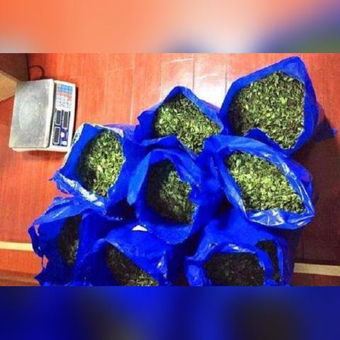 街头混战神器曝光，使命召唤12黑市新宠震撼登场