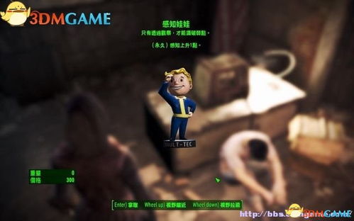 家园残破黑白映心潮，《辐射4》玩家情感波澜录