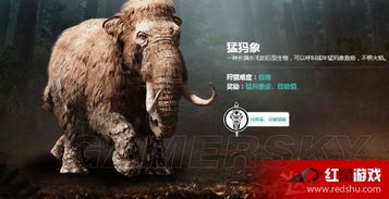 驯兽大师揭秘：原始杀戮中动物驯服技巧