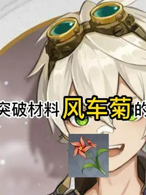 风车菊采集攻略：班尼特突破必备新路线解析