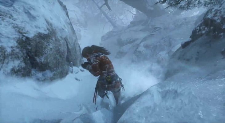 巨熊激战惊现劳拉崛起新篇章