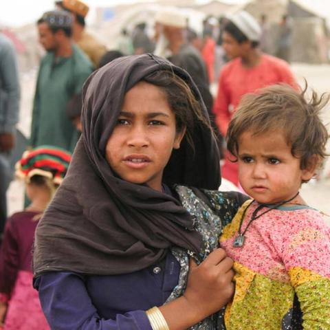 《饥荒：船难》Steam独家首登，PC冒险新篇章即将开启