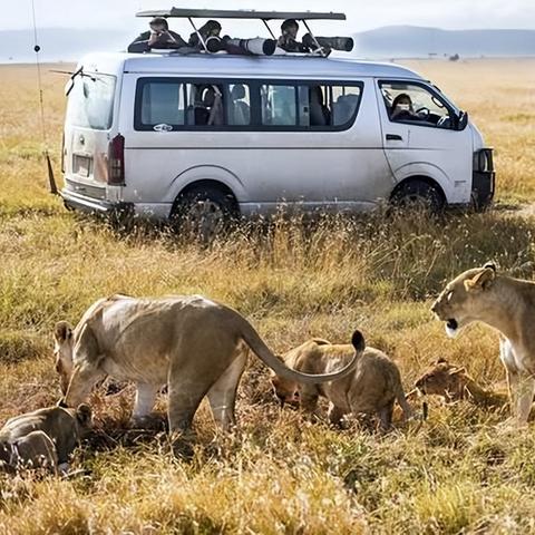 Steam冬促独享！怪物猎人惊爆价，狩猎新体验！