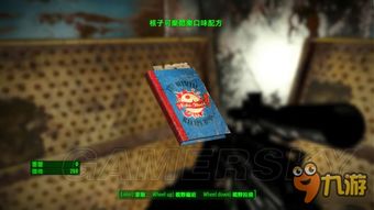 《辐射4》核子可乐狂热抢购，真爱粉必看攻略！