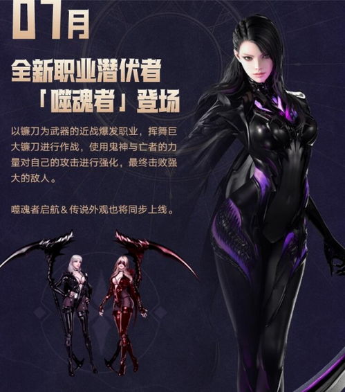 欲望军团长维娅奇丝：命运方舟的神秘守护者传奇