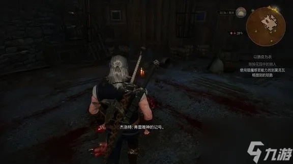 狼皮披身，探寻《巫师3》神秘衣饰攻略秘籍