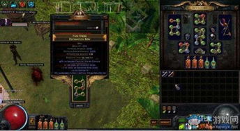 S24开荒增伤秘籍：解锁《流放之路》全新伤害提升之道