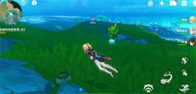 《原神》塔拉塔海谷海豚解锁攻略，轻松解密！