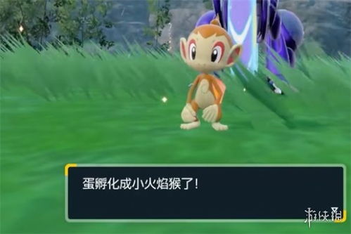 《宝可梦朱紫》DLC极地闪爆点刷出攻略，解锁极寒奇遇