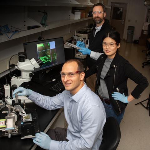 惊悚体验升级！《活体脑细胞》IGN8.1分，脑细胞惊悚大揭秘！