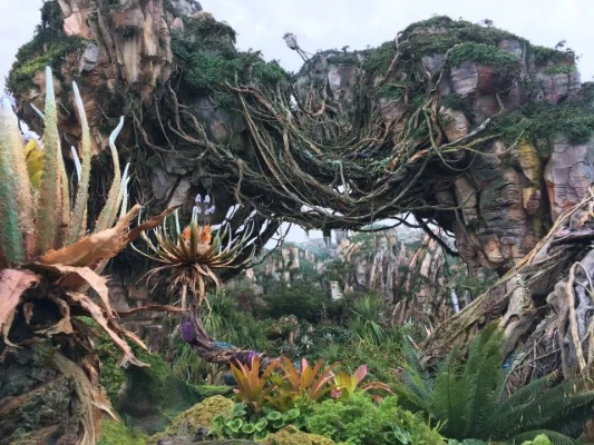 《阿凡达》血量提升攻略：揭秘潘多拉边境生命值增强秘籍