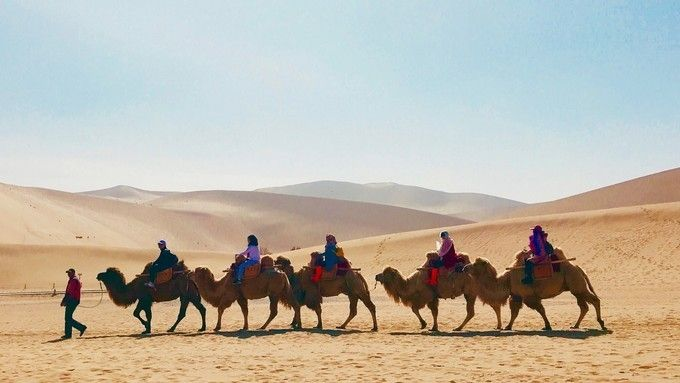 《阿凡达潘多拉边境》免费畅玩攻略，揭秘全新7日特权体验