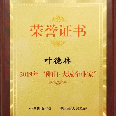 南方明珠探秘：镜之边缘催化新篇章