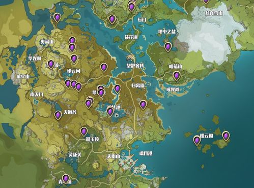 电气水晶分布攻略：高效采集路线全解析