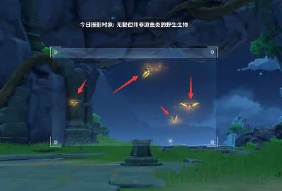 《原神》4.2拍照活动第六天：揭秘无腿非鱼生物全攻略