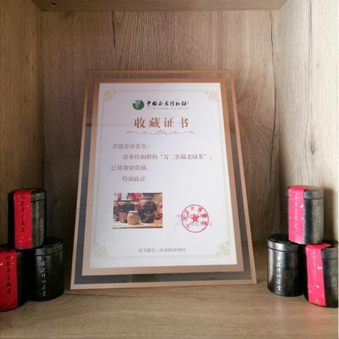 《如龙8》财富攻略全流程解析，深度揭秘新玩法攻略！