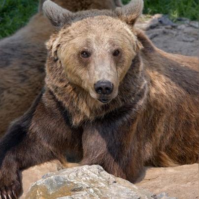 视角自由畅游，3D牧场物语失落谷全新体验升级