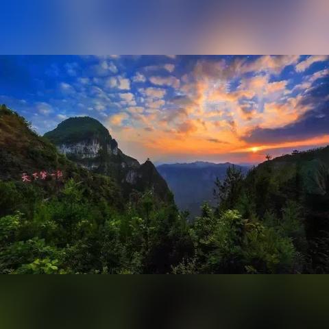 勇者集结！《勇者斗恶龙：英雄》英雄图鉴全新揭秘