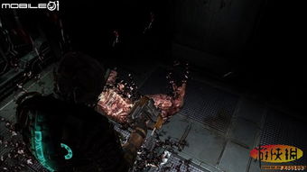 黑白风暴降临，PSV版《白夜》恐怖求生新篇章震撼开启