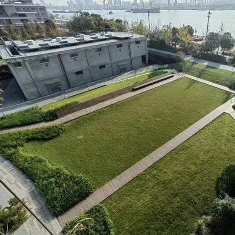 植被魔法焕新《失忆》迷雾奇观，视觉盛宴升级体验