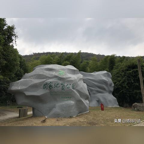 《进化奇观》揭秘：奇葩怪物惊艳亮相，视觉盛宴刷新认知