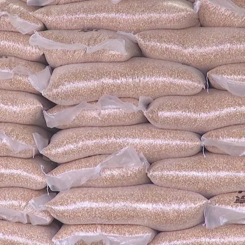 《辐射4》单人冒险再升级，沉浸式体验全新启航