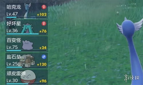 《宝可梦朱紫》丑丑鱼闪点刷法攻略：高效刷闪秘籍大公开