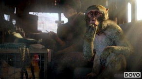 《孤岛惊魂4》动物新特性揭秘：山高氧气罐必备！