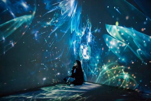 《星空》服饰盛宴：293款风采独绝，揭秘时尚新境界