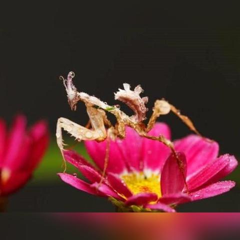 怪异人生无需解释，揭秘全新《模拟人生4》预告！