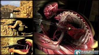 《狙击精英3》PC版好评如潮，全新射击体验引爆玩家热情