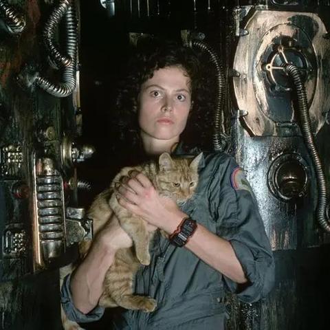 异形惊悚隔离，视觉震撼体验升级