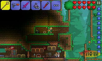 高效攻略！泰拉瑞亚快速刷鱼饵技巧分享