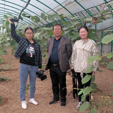 农场经营秘籍：深度解析《模拟农场15》致富之道