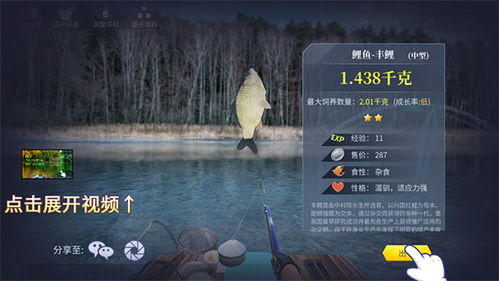 枫丹钓鱼神器灰河渡手满精攻略，轻松解锁满级技巧！