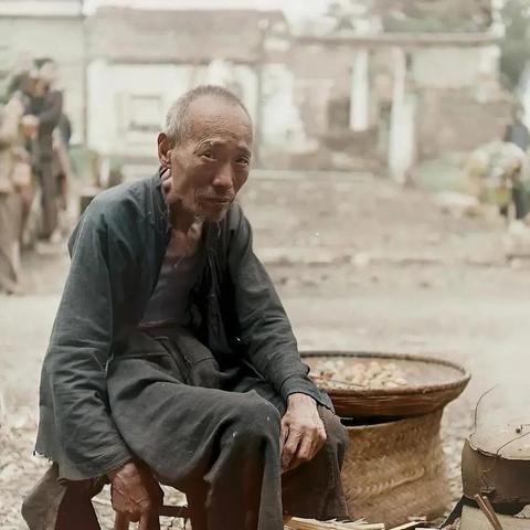 《饥荒》农作物攻略大全，解锁神秘食谱新境界