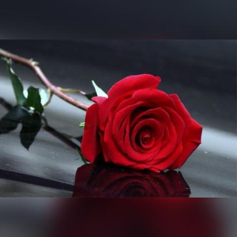 《命运方舟》吟游诗人宝石铭刻攻略：深度解析连招与加点技巧