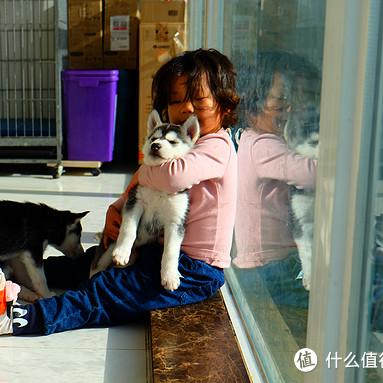 《命运》PS版Beta仅4天，抢先体验全新游戏魅力