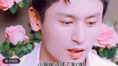 10美金惊爆价！R星经典游戏合集，重温经典新体验