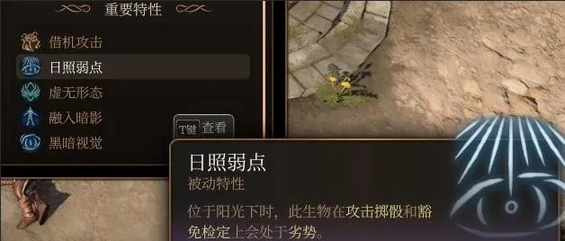 《博德之门3》全永久BUFF解析，深度揭秘新价值攻略