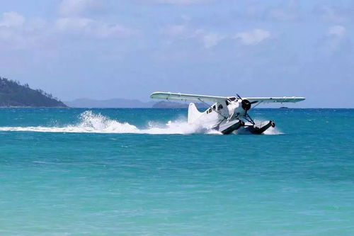 奇趣MOD大揭秘：Wall-E海豚压马路，GTA4奇葩赏玩新体验