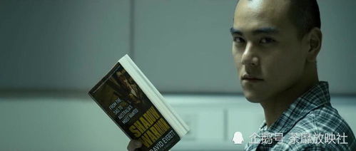 三伏全剧情深度解析：攻略视频新视角揭秘