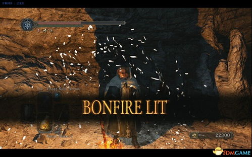 帧率捉急解析：揭秘《黑暗之魂2》画质优化新策略