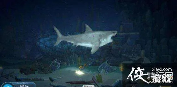 《戴夫潜水探秘：全图鲨鱼藏身之地揭秘》