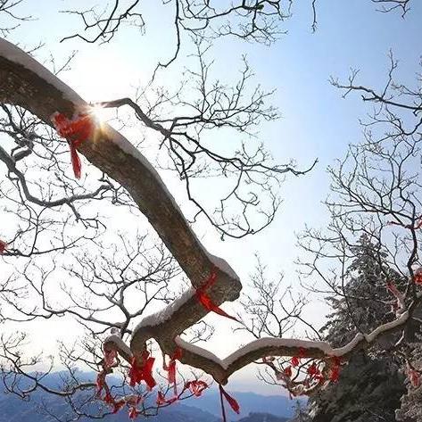 时光碎片重塑奇境之旅