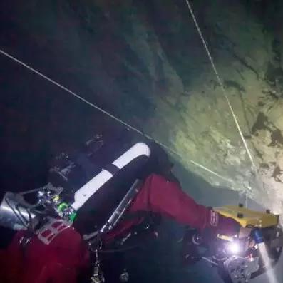 《戴夫潜水员》团队优化配置，揭秘高效协作新策略