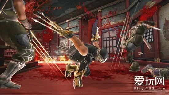 忍者龙剑传Z：剑舞巅峰，成人秘境探幽