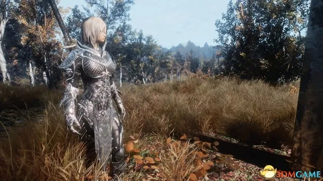 《上古卷轴5》绝美MOD图鉴，视觉盛宴新体验